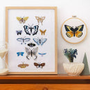 Buch "Eco Vita - Das botanische Schränkchen"