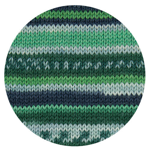 Hot Socks Manerba 6f. grün color