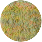 Creative Fur Print Fresh Colours