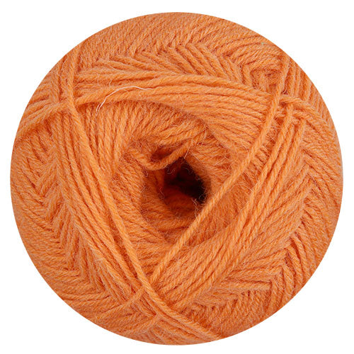 Regia 4f. kürbis