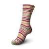 Regia 6f. Design stamsund