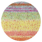 Messina rainbow magic