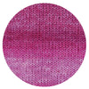 Hot Socks 6f. Malcesine viola