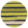 Hot Socks Lugano 6-f. gelb