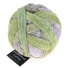 Zauberball Cotton Junges Gemüse