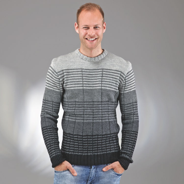 Herrenpullover "Record" 754122
