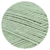 Meilenweit Woolycell mint
