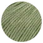 Alta Moda Alpaca pastellgrün