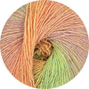oranje kleur