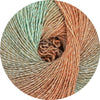 turquoise kleur