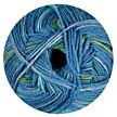 Regia 6f. internet color