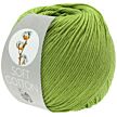 Soft Cotton frühlingsgrün