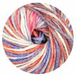 Beluga Linie 539 beere