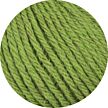 Legato Linie 553 birke