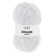 Avalon nebel