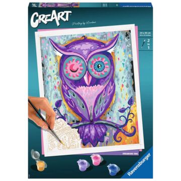 Malen nach Zahlen - Dreaming Owl
