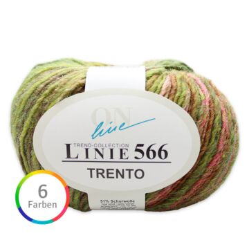 Trento Linie 566